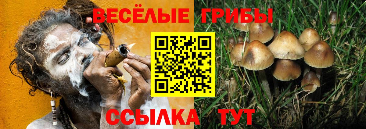 Галлюциногенные грибы GOLDEN TEACHER  продажа наркотиков  Минусинск  Вход с VPN 